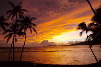 hawaii[1].jpg