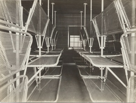 Angel_Island_Immigration_Station_Dormitory_b.jpg