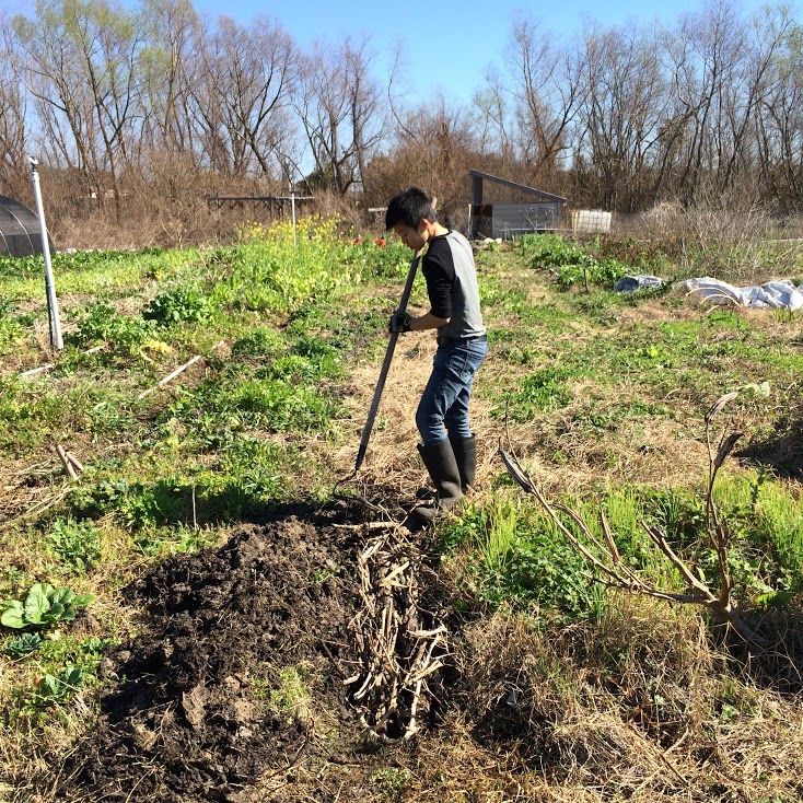 young person farming at VEGGI