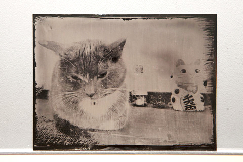 Tintype courtesy of Mia Nakano