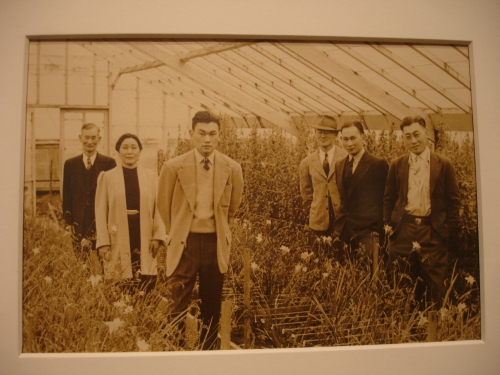 Fred korematsu deals