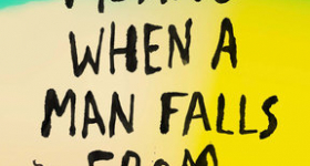 Cover of WHAT IT MEANS WHEN A MAN FALLS FROM THE SKY