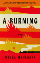 Cover of A Burning Novel