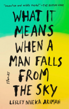 Cover of WHAT IT MEANS WHEN A MAN FALLS FROM THE SKY